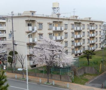 Sakura and the Apartment